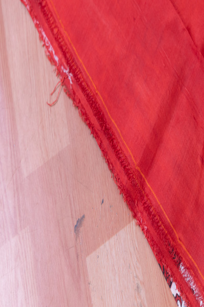 Modern Red Pattu Saree with Multicolor Border-3 -Ramdhanu Ethnic