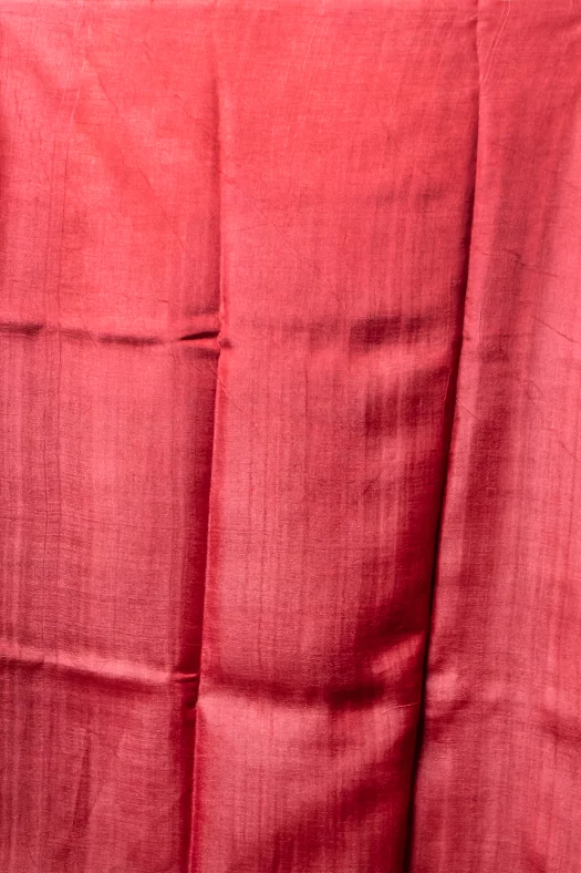 Buy this evergreen combination of red and white tussar silk saree-3 -Ramdhanu Ethnic